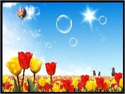 Wiosna, Tulipany, Balon